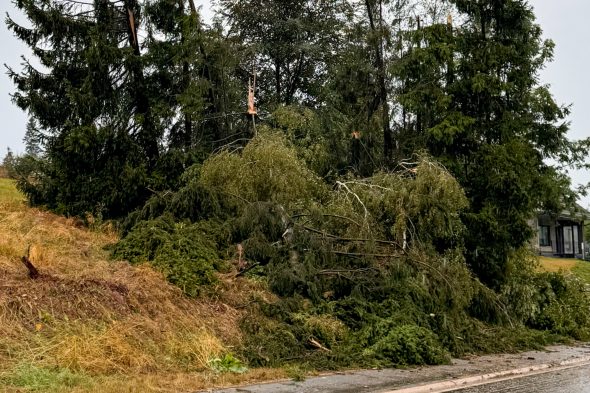Sturmschäden in Büllingen