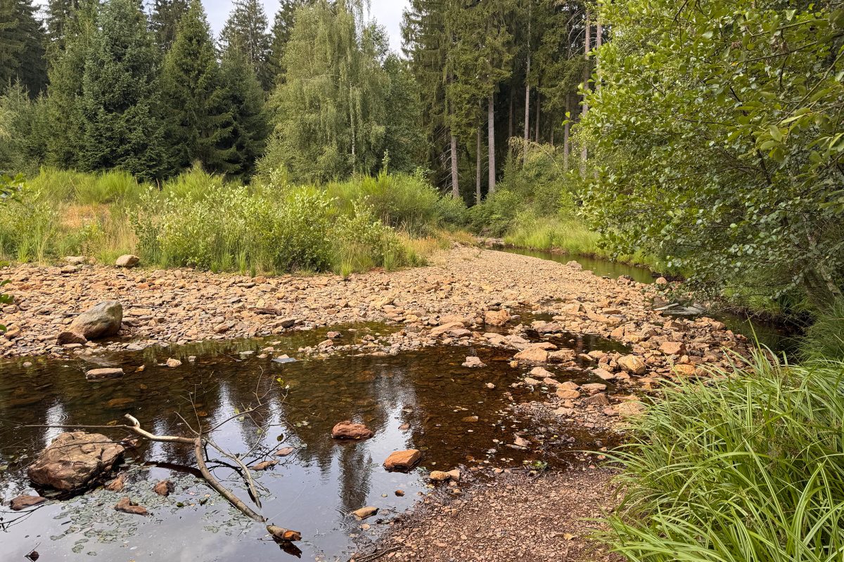 Der Standort der alten Kupfermühle im Raerener Wald am Wasser
