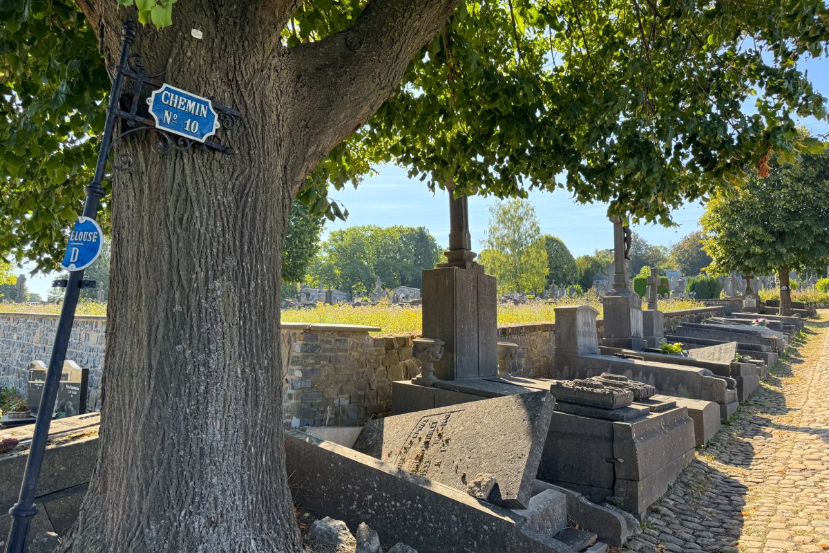 Gräber an einer Allee auf dem Friedhof, auf einem Schild an einem Baum steht "Chemin No 10"