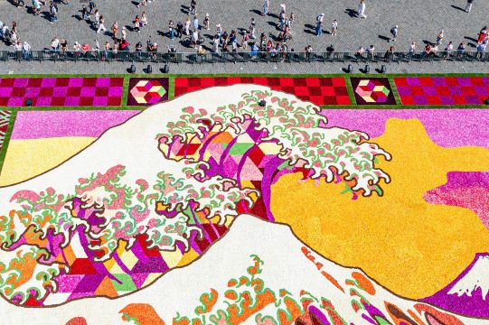 Blumenteppich auf der Brüsseler Grand Place 2026