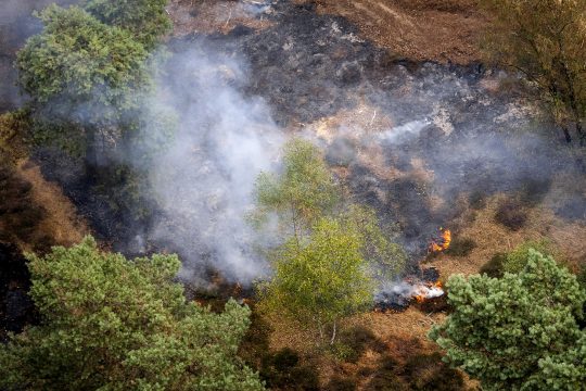 Brand in Boschhuizerbergen in Niederländisch-Limburg am Mittwoch