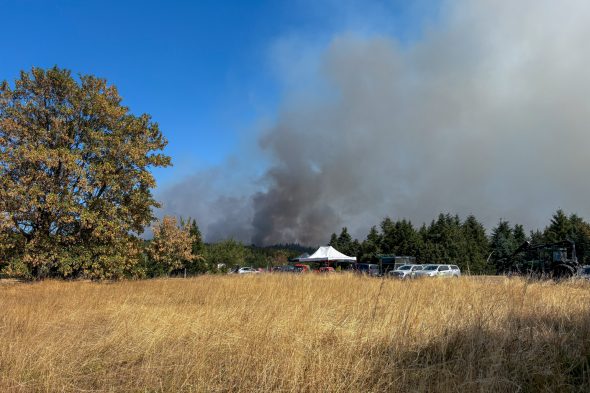 Brand Düren