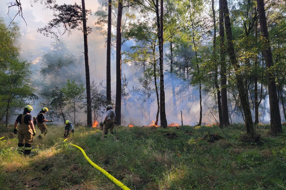 Brand im Nationalpark Eifel