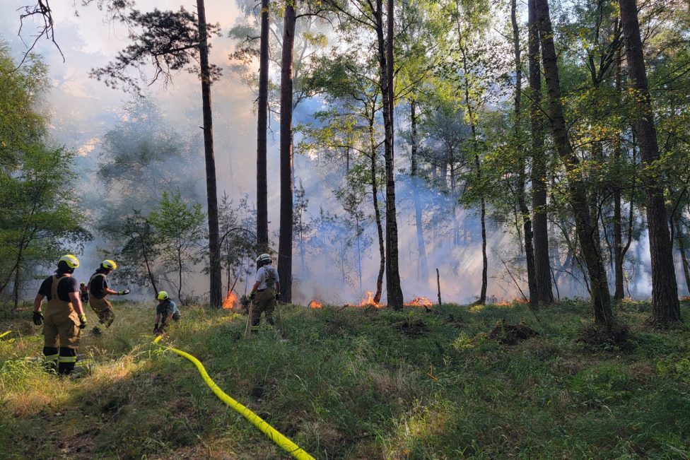 Brand im Nationalpark Eifel