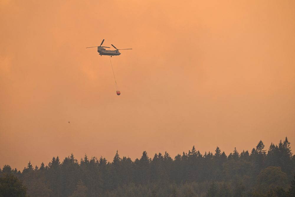 Boeing CH-47D Chinook der niederländischen Luftwaffe über dem Venn am Samstag