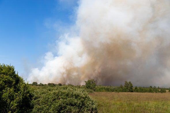 Feuer im Hohen Venn - Vennbrand