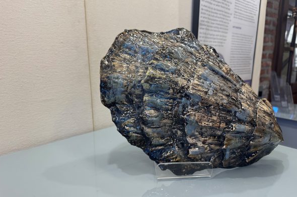 Muschel aus Keramik von Björn Poppinga