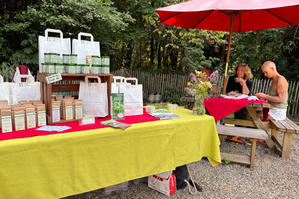 Wildkräuter-Workshop im Heilpflanzengarten Herba Sana bei Ortis in Elsenborn