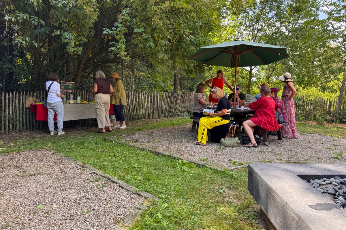 Wildkräuter-Workshop im Heilpflanzengarten Herba Sana bei Ortis in Elsenborn