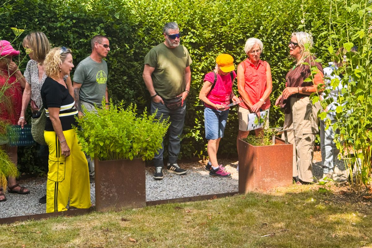 Wildkräuter-Workshop im Heilpflanzengarten Herba Sana bei Ortis in Elsenborn