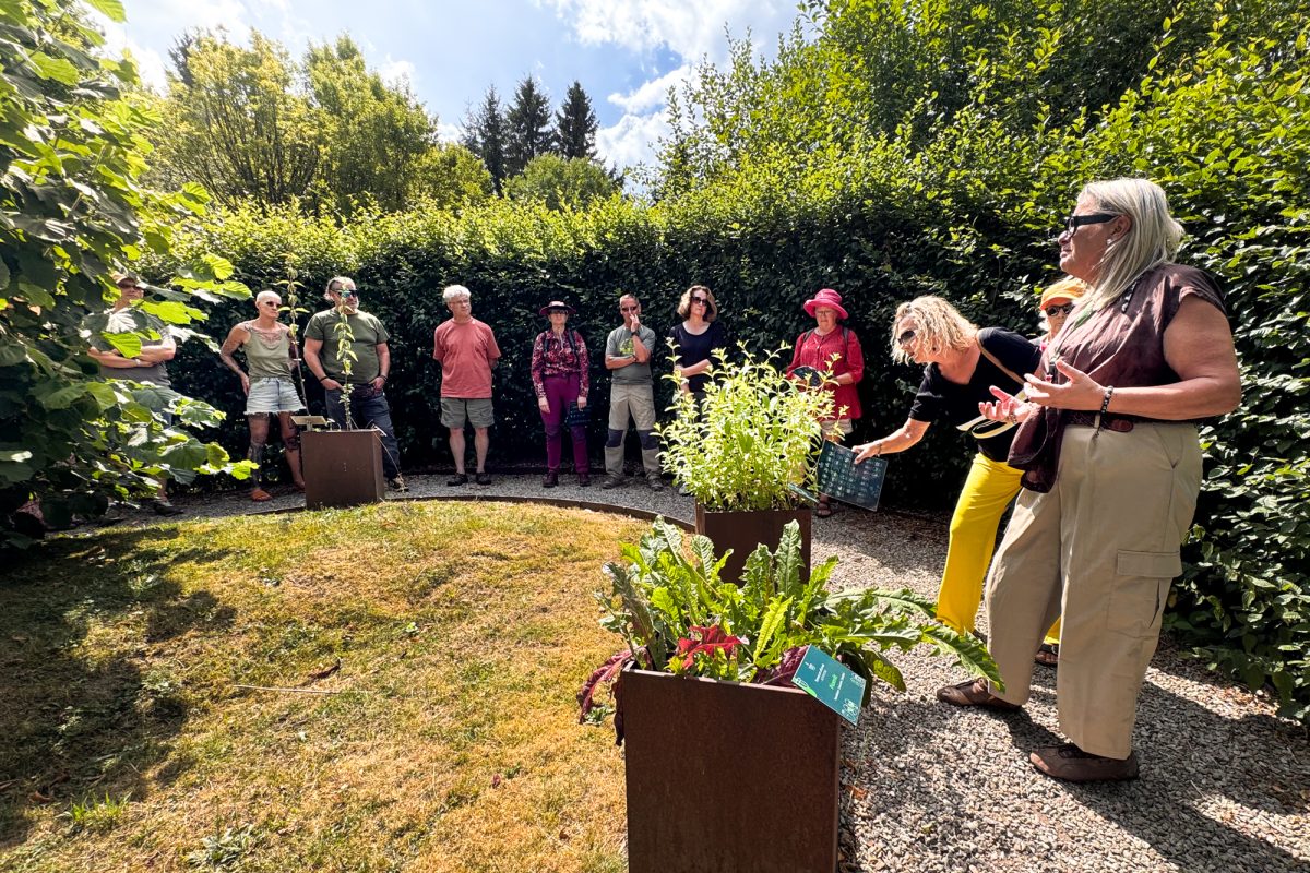 Wildkräuter-Workshop im Heilpflanzengarten Herba Sana bei Ortis in Elsenborn
