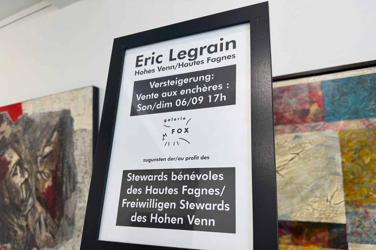 Die Galerie Fox versteigert ein Vennbild von Eric Legrain