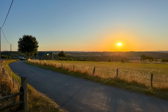 Die Sonne steht tief über dem Feld, der Blick schweift weit über das deutsch-belgische Grenzgebiet