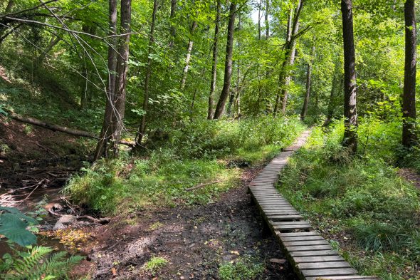 Holzstege in der Nähe des Oskarstollens