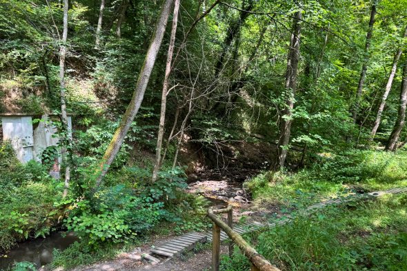 Wanderweg in der Nähe des Oskarstollens