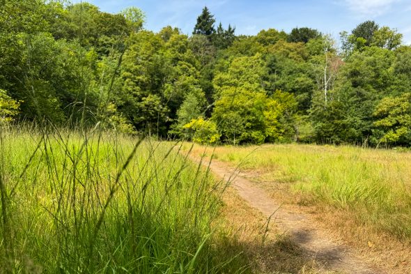 Wanderweg in der Nähe des Oskarstollens