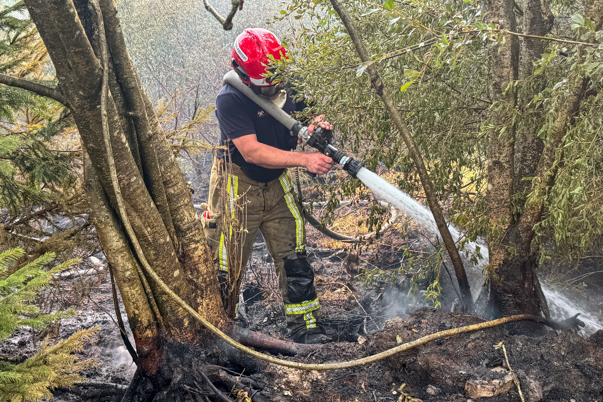 brf.be