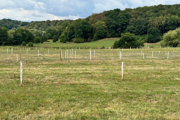 Hier entstehtdie Motocross-Strecke des Calaminia Moto Clubs