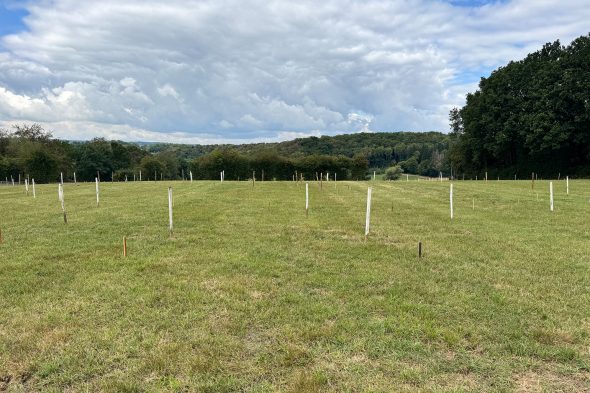Hier entstehtdie Motocross-Strecke des Calaminia Moto Clubs