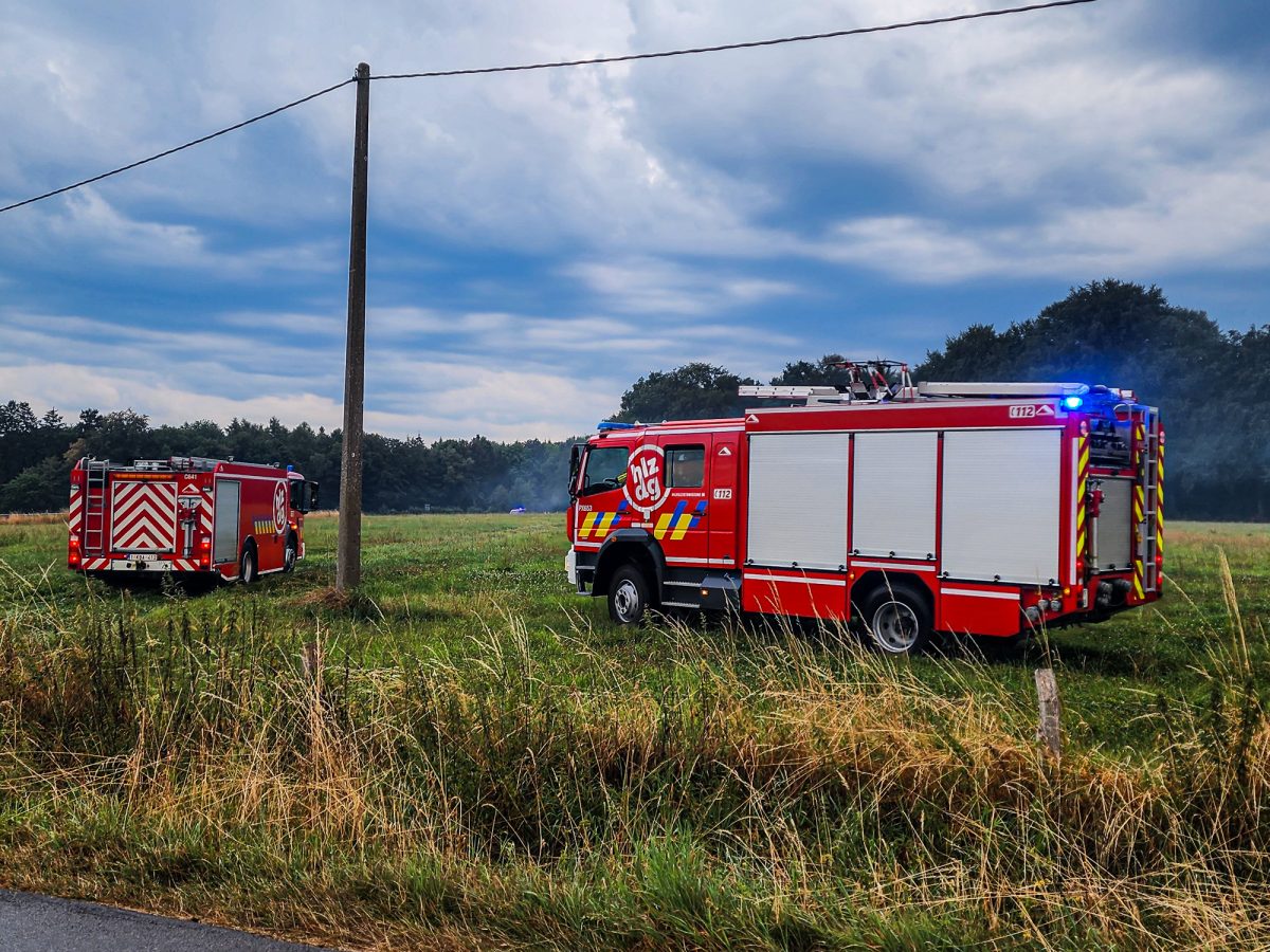 Naturbrand Marienthal Raeren (Bild: Olivier Krickel/BRF)