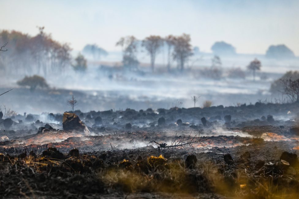 Zerstörte Vennlandschaft nahe des Signal de Botrange
