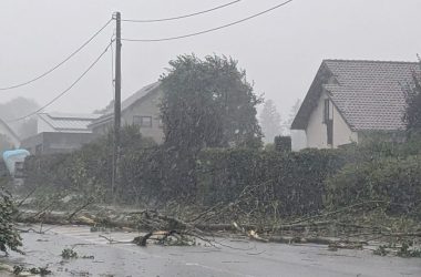 Sturmschäden in Büllingen (Bild: Deborah Vollers/BRF)
