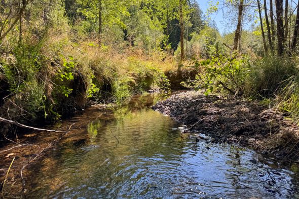 Colvenderbach bei Heppenbach
