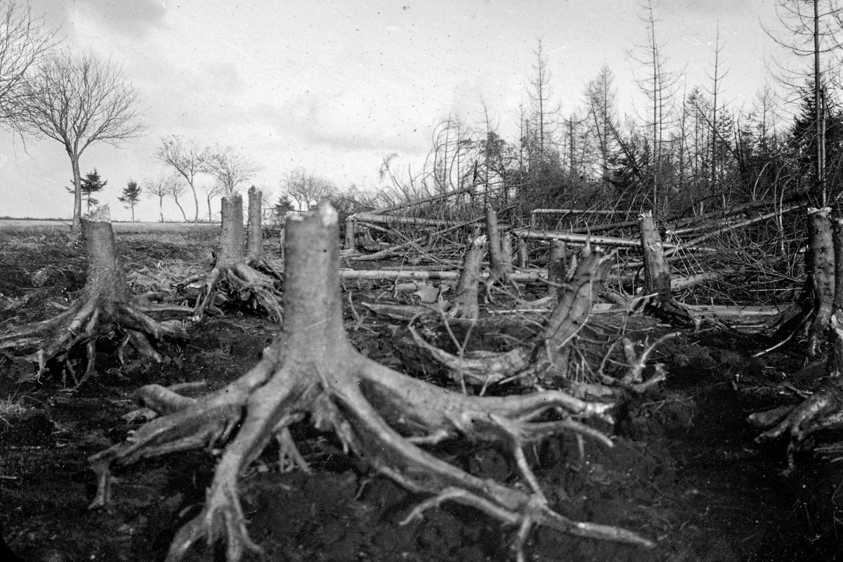 Vennbrand im Jahr 1911