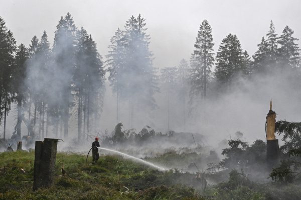 Ein Feuerwehrmann nässt verbrannten Vennboden mit einem Schlauch
