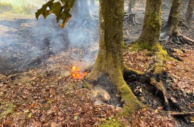 Vennbrand - Brand im Hohen Venn