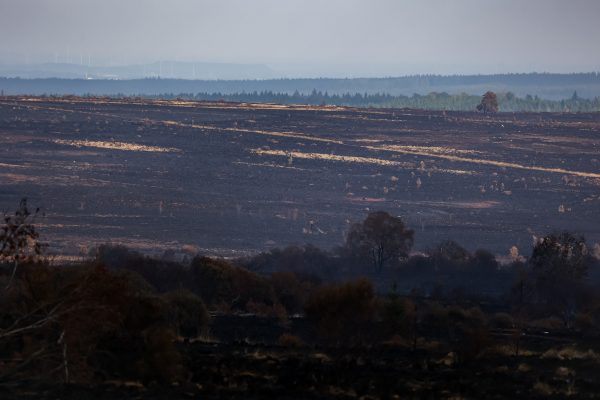 Vennbrand