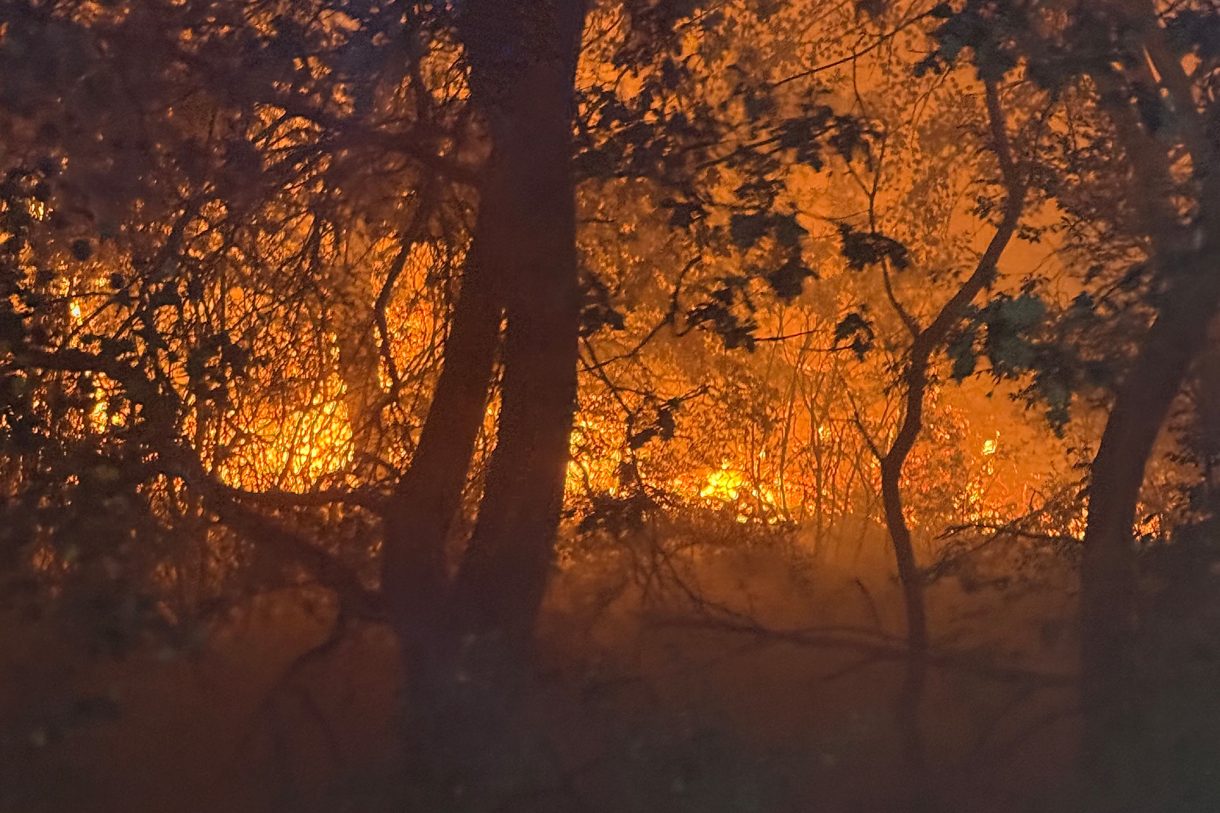 Vennbrand - Bild eines Landwirts