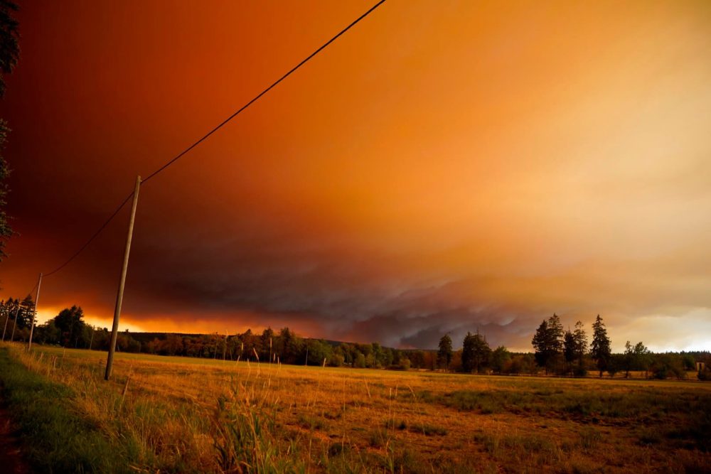 Der Brand im Venn am Freitag von Mützenich aus gesehen (Bild: Jan Haveneth)
