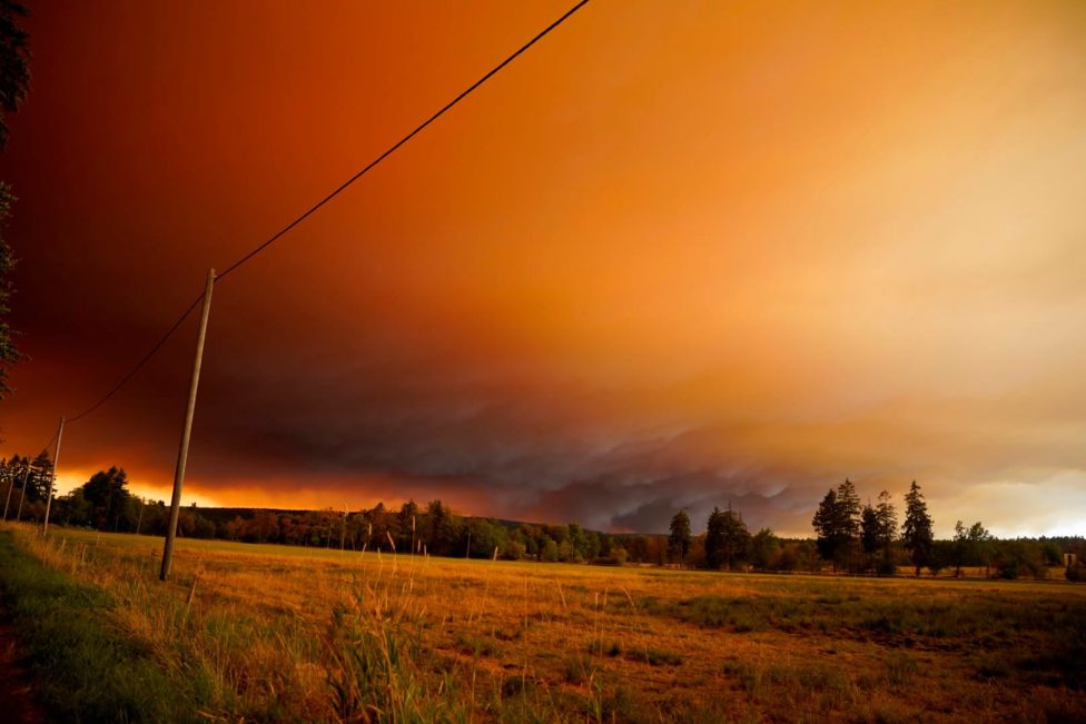 Der Brand im Venn am Freitag von Mützenich aus gesehen (Bild: Jan Haveneth)
