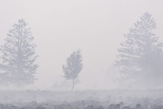 Vennlandschaft in Rauch gehüllt