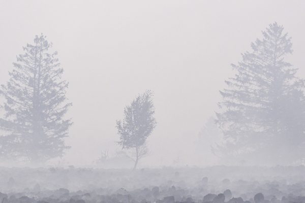 Vennlandschaft in Rauch gehüllt