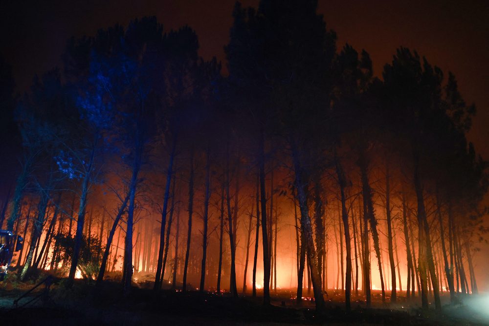 Silhouetten der Bäume vor dem feurigen Schein des Waldbrandes in Luglon im Südwesten Frankreichs