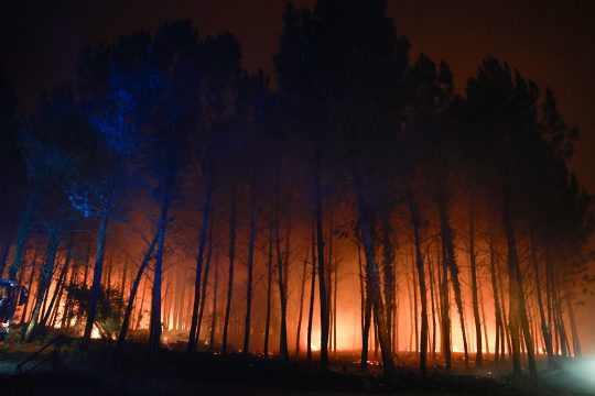 Silhouetten der Bäume vor dem feurigen Schein des Waldbrandes in Luglon im Südwesten Frankreichs