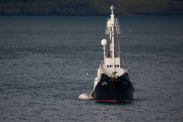 Ein Walfang-Schiff in der Nähe von Reykjavik