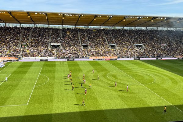 ein Blick aufs Spielfeld