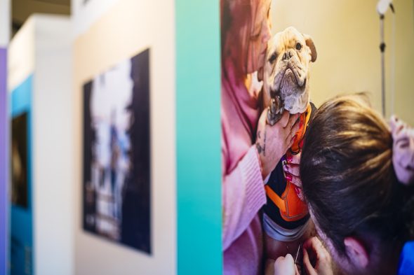 Bilder in der Ausstellung "Geschichten, bei denen einem das Herz aufgeht“