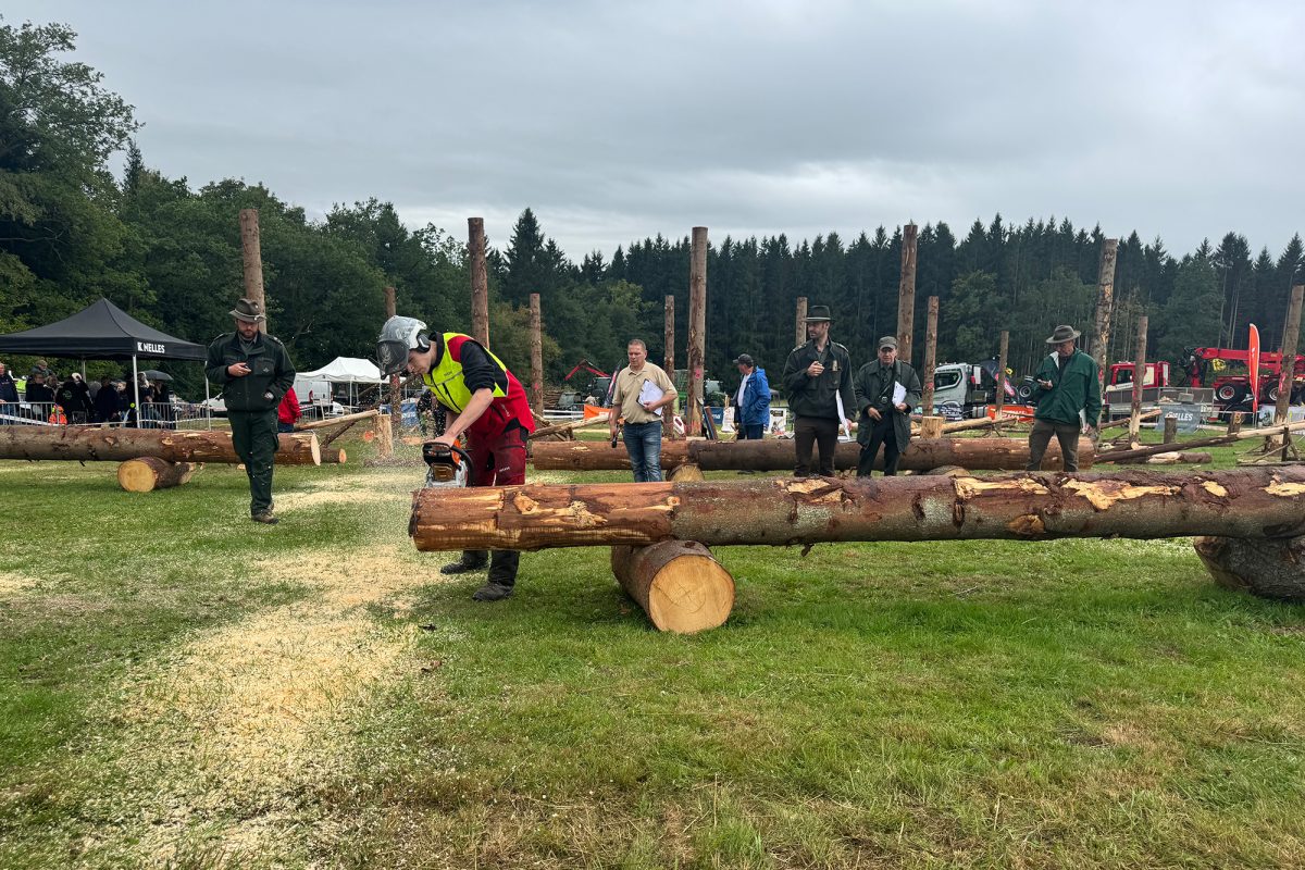 Teilnehmer auf der Wiese inmitten von Holzstämmen