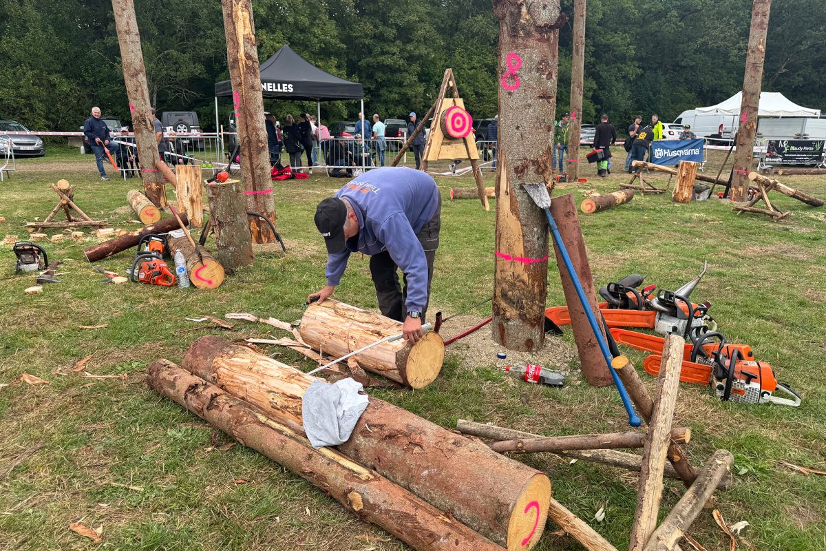 Mehrere Holzstämme auf dem Boden, ein Mann beugt sich über einen von ihn