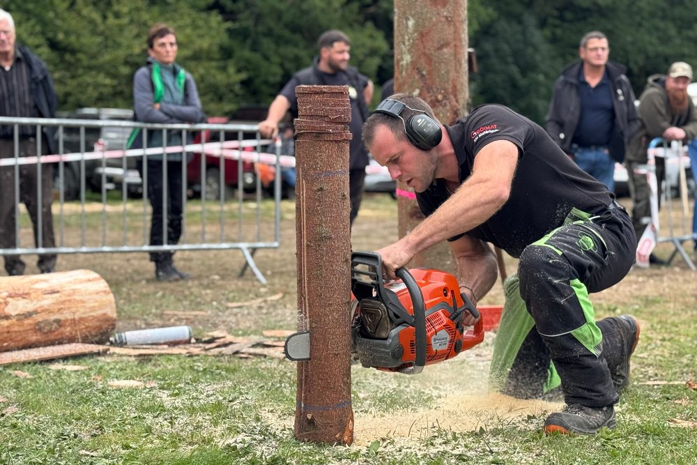 Teilnehmer arbeitet mit Kettensäge an einem dicken Ast