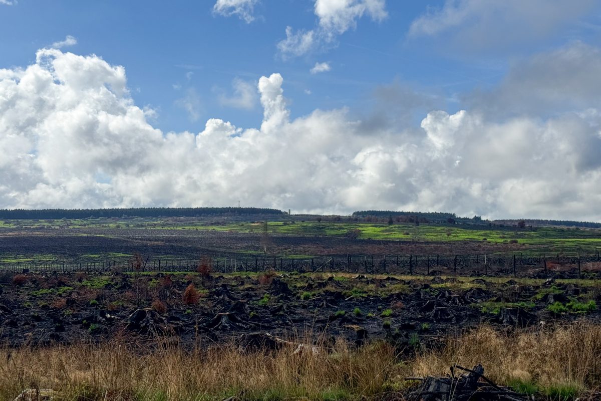 Die teilweise verbrannte Vennlandschaft