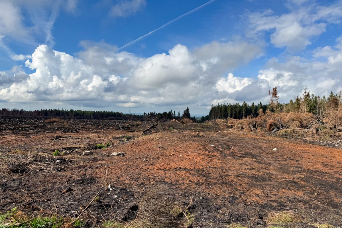 Verbrannte Vennlandschaft