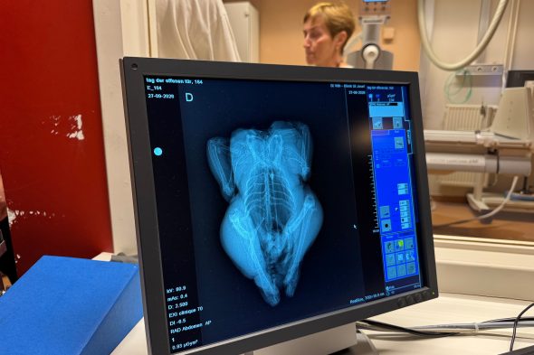 KlinikSanktVith(6)_Dogan MalickiBRF Kopie