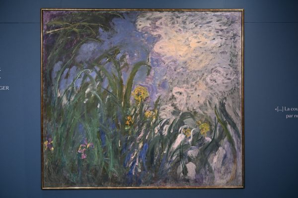 Das Gemälde "Iris" von Claude Monet hängt an einer blaugefärbten Wand