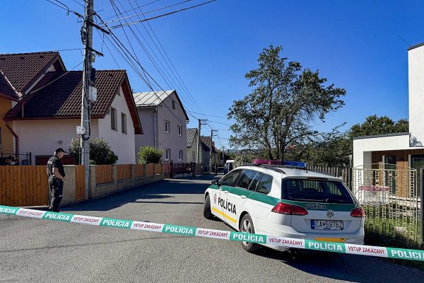 Slowakischer Polizist und Polizeifahrzeug