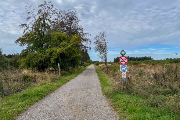 Weg ins Hohe Venn